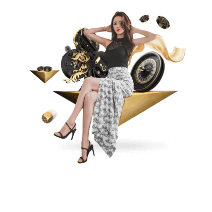 素丝良马网 v6.6.32 官方安装版 1